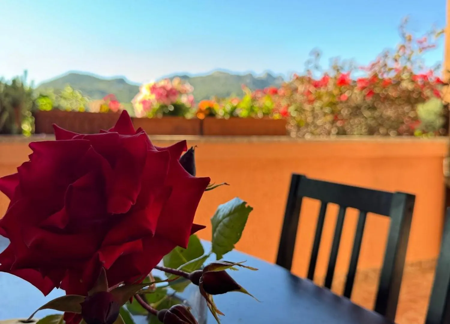 Casa Angelo Apartment Palau Italy